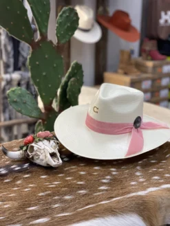 RESISTOL Charlie 1 Horse “Only Prettier” 3 3/4" Brim