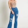 Aylin's Distressed Flare Pants