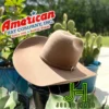 American Hat Co Felt 40X Tuscan 4" 1/4 Brim