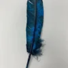 Turkey Feather-Royal Blue Painted