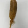 Turkey Feather-Rust Painted