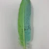 Turkey Feather- Teal/Neon Green Painted Turkey Feather