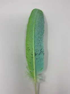 Turkey Feather- Teal/Neon Green Painted Turkey Feather