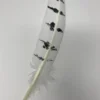 Turkey Feather- White/Black OWL Painted Turkey Feather