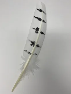 Turkey Feather- White/Black OWL Painted Turkey Feather